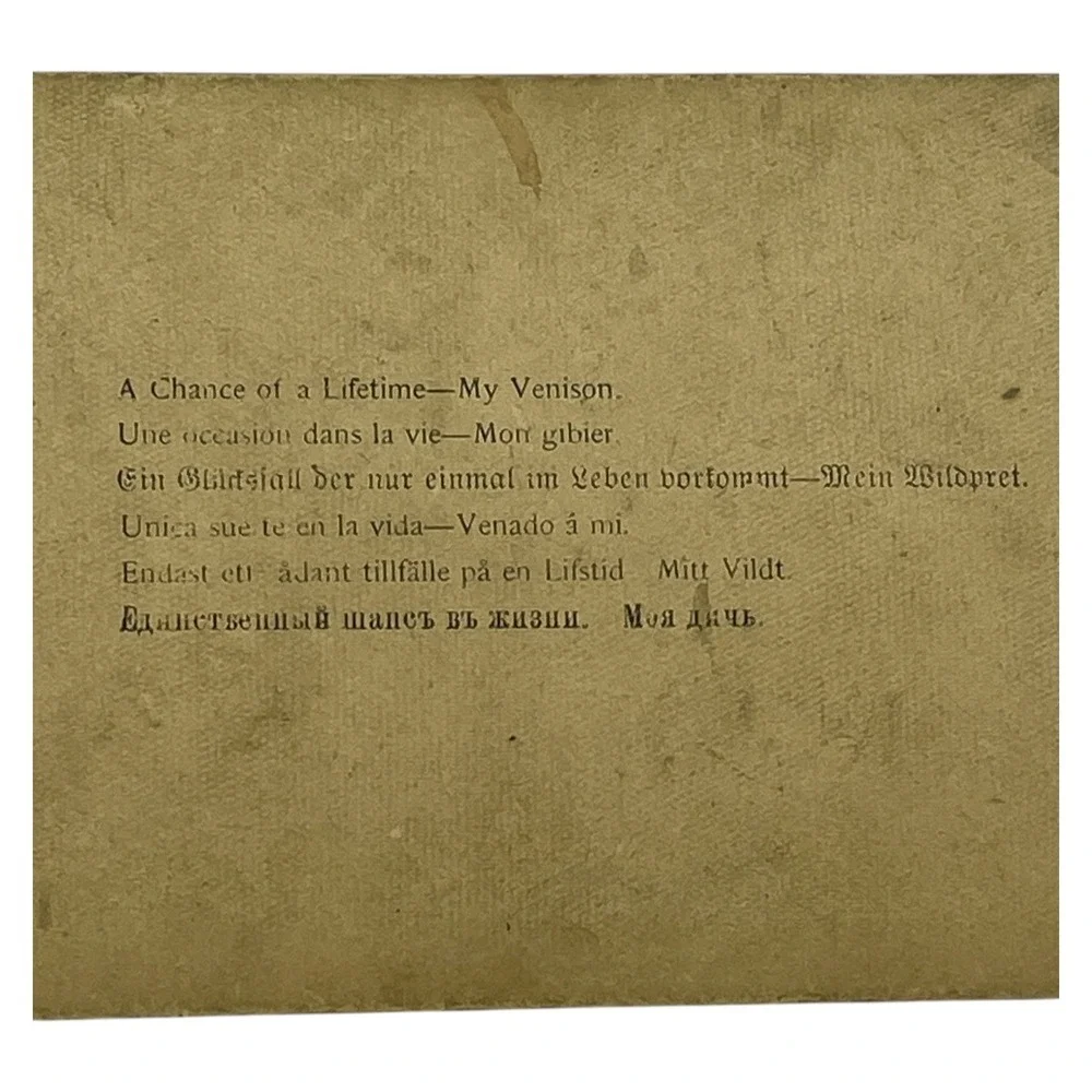 A Chance of a Lifetime My Venison 1890 Hunting Stereoview Underwood‎
